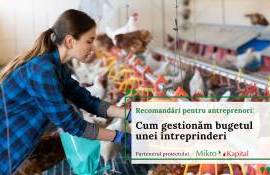 Cum gestionăm bugetul unei întreprinderi: Recomandări pentru antreprenori - agroexpert.md