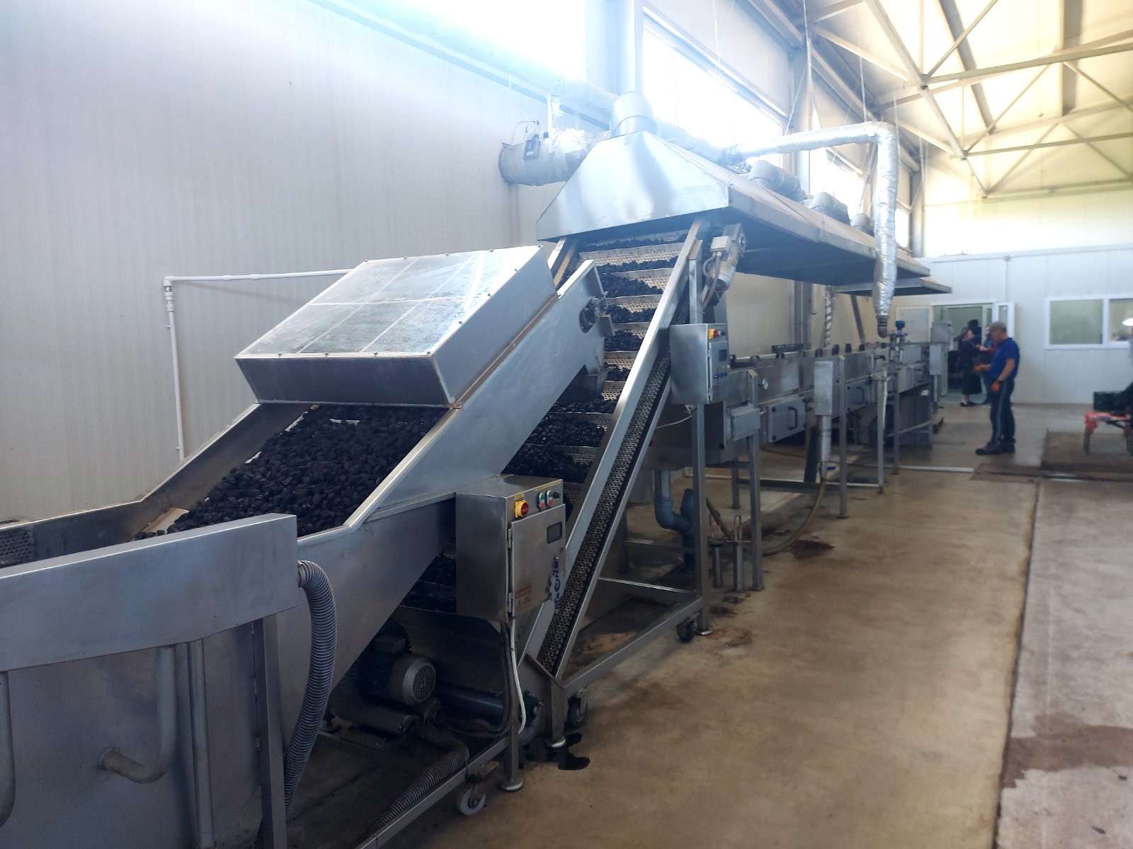 O companie italiană a deschis o fabrică de procesare a fructelor la Căinari - agroexpert.md
