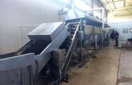 O companie italiană a deschis o fabrică de procesare a fructelor la Căinari - agroexpert.md
