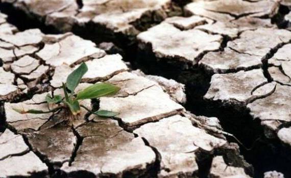 Jumătate din terenurile agricole ar putea fi afectate de secetă în următorii ani - agroexpert.md