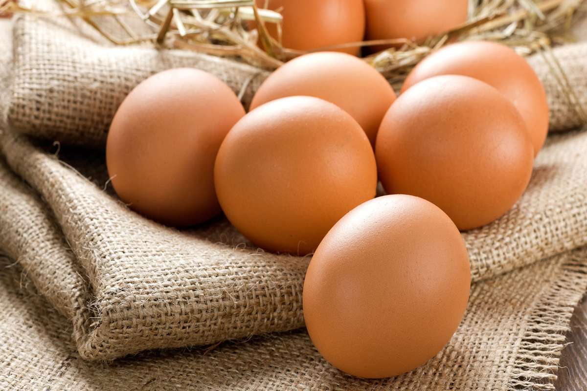producția de ouă în 2023 - agroexpert.md