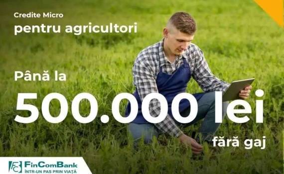Кредиты MICRO без залога, до 500 000 лей - agroexpert.md
