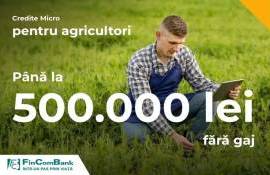 Кредиты MICRO без залога, до 500 000 лей - agroexpert.md