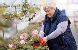 și-a transformat pasiunea pentru flori în afacere - agroexpert.md