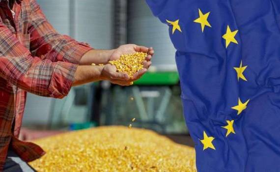 ЕС усиливает меры по контролю качества сельхозпродукции - agroexpert.md