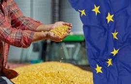 ЕС усиливает меры по контролю качества сельхозпродукции - agroexpert.md