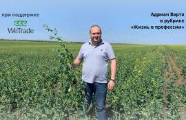 Варта Адриан «Хорошая работа WeTarde измеряется успехами фермеров» - agroexpert.md