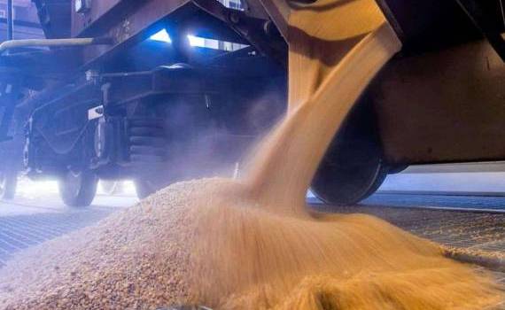 Bloomberg: Майские холода в РФ создают угрозу мировым запасам пшеницы - agroexpert.md