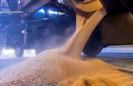 Bloomberg: Майские холода в РФ создают угрозу мировым запасам пшеницы - agroexpert.md
