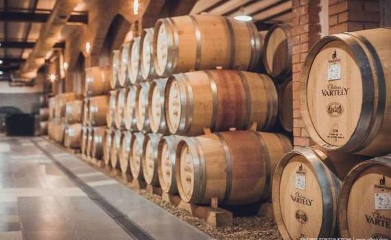 Две молдавские винодельни отправят свою продукцию в Пекин - agroexpert.md