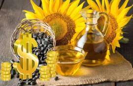 На Украине на этой неделе продолжили расти цены на подсолнечник - agroexpert.md