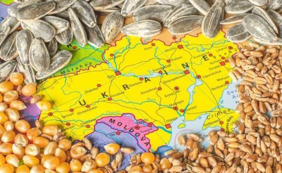 Scad exporturile de cereale ale Ucrainei - agroexpert.md