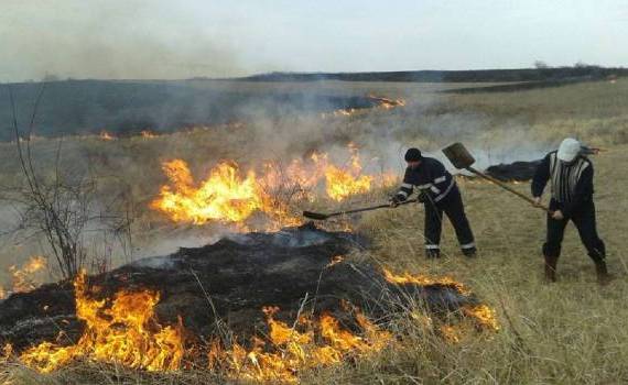 Peste 2.600 hectare de teren - compromise de arderea vegetației uscate - agroexpert.md