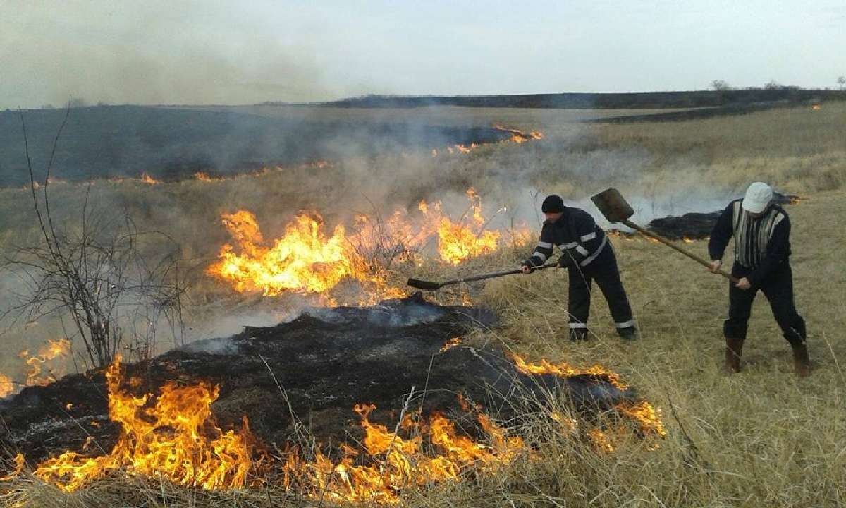 Peste 2.600 hectare de teren - compromise de arderea vegetației uscate - agroexpert.md