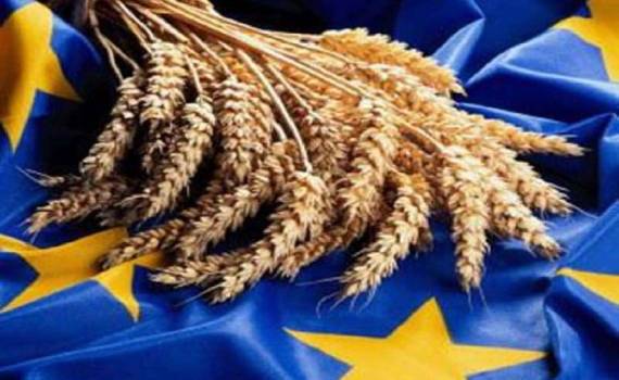 Отсутствие данных экспорта зерновых из ЕС нарушают прозрачность бизнеса - agroexpert.md