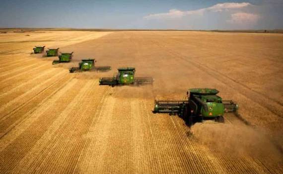 Россия, пшеница, погода и мировой рынок: взгляд из Австралии - agroexpert.md