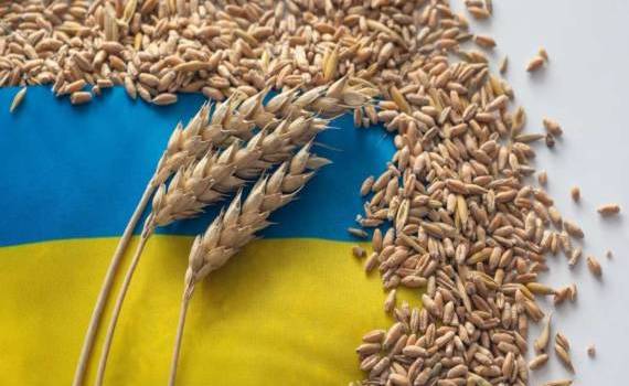 cereale ucrainene Portul Constanța - agroexpert.md
