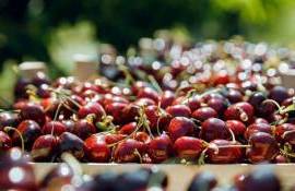 Încă 5 ani de export fără taxe la produsele agricole moldovenești pe piața britanică - agroexpert.md