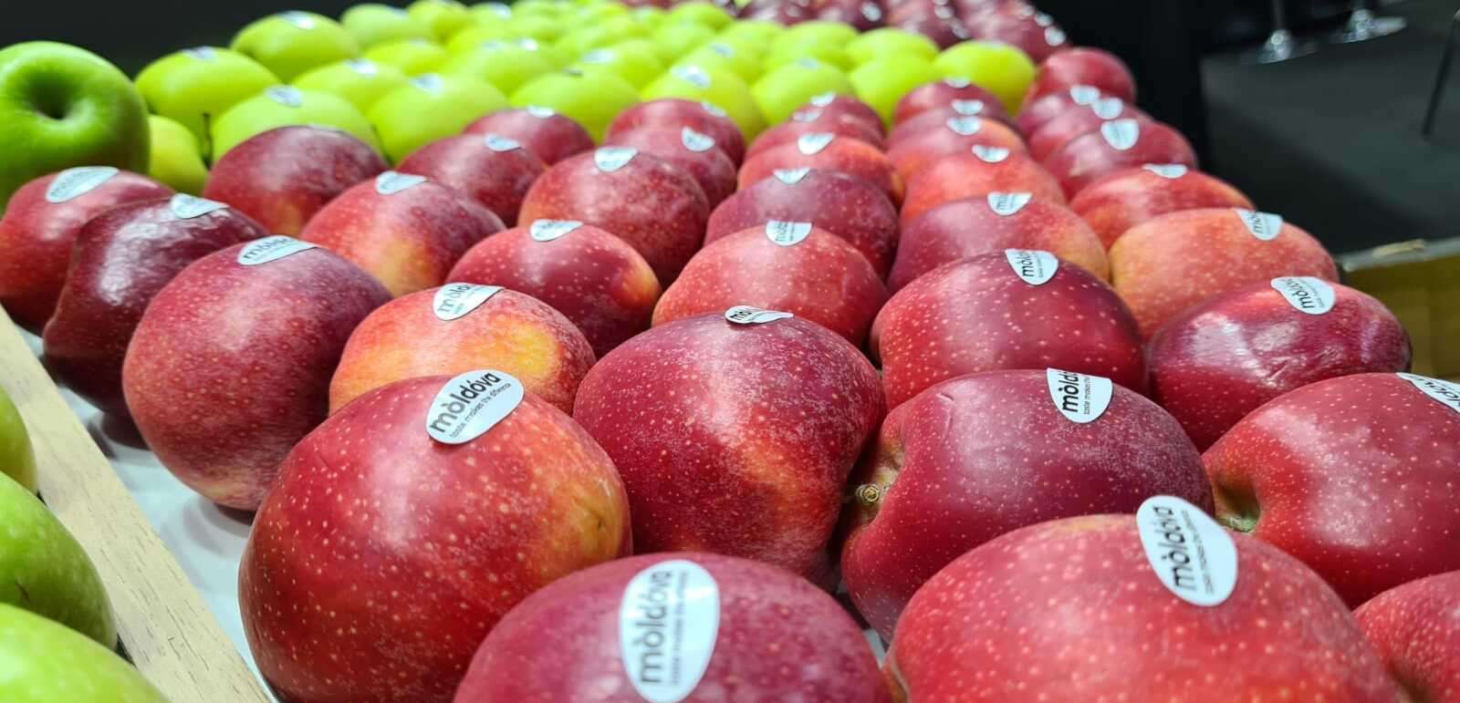 La ce preț s-au exportat merele în 2023 - agroexpert.md
