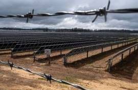 unele dintre cele mai fertile terenuri agricole sunt transformate în parcuri fotovoltaice - agroexpert.md