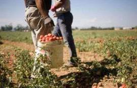 Fermierii afectați de intemperii sunt îndemnați să anunțe primăriile - agroexpert.md