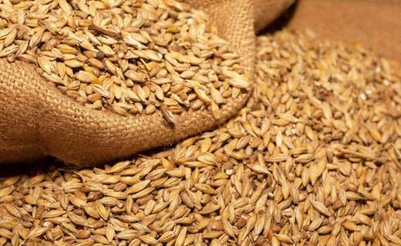 Bursa cerealelor: Cresc prețurile la grâu