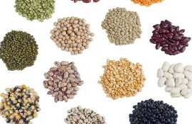 Modificări la condițiile de înregistrare a agenților economici care produc semințe - agroexpert.md