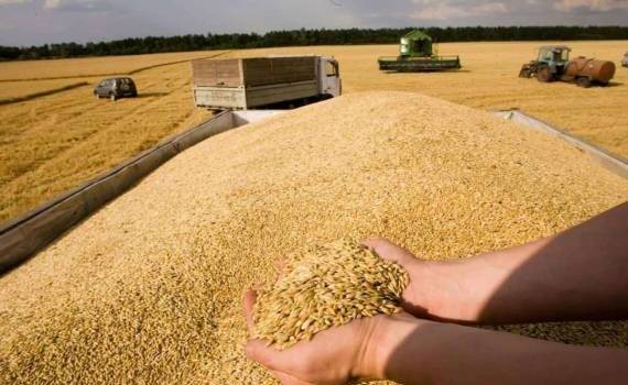 Евросоюз с июля ввел тарифы на импорт российской агропродукции - agroexpert.md