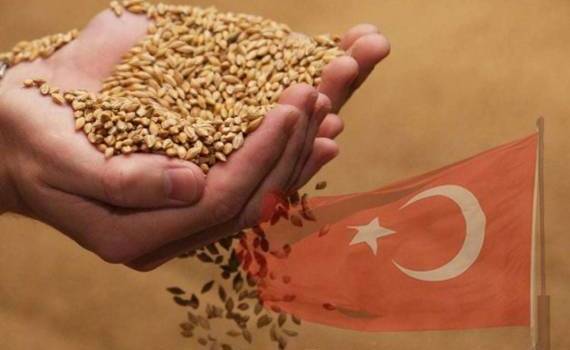 Турция переходит на плановое и водосберегающее сельское хозяйство - agroexpert.md