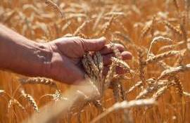 Обновление правил беспошлинной торговли агропродукцией Украины с ЕС - agroexpert.md