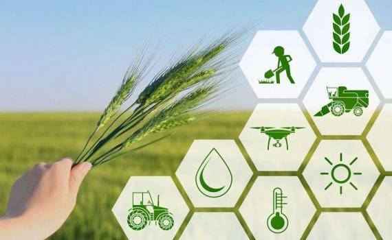 Agenții economici din Republica Moldova au la dispoziție diverse programe de suport - agroexpert.md