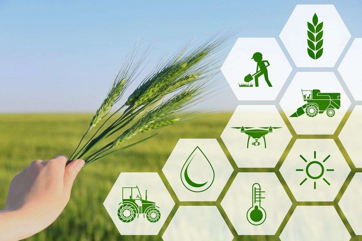 Agenții economici din Republica Moldova au la dispoziție diverse programe de suport - agroexpert.md