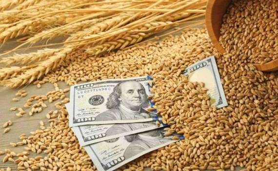 Приближение нового урожая ограничивает потенциал роста цен на пшеницу agroexpert.md