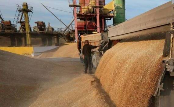 На 31 мая Украина экспортировала более 46 млн тонн зерна в сезоне 2023/24 - agroexpert.md
