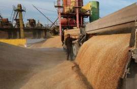 На 31 мая Украина экспортировала более 46 млн тонн зерна в сезоне 2023/24 - agroexpert.md