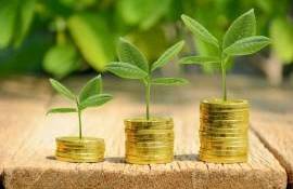 Creditul Agricol de Urgență ajutor pentru fermieri - agroexpert.md
