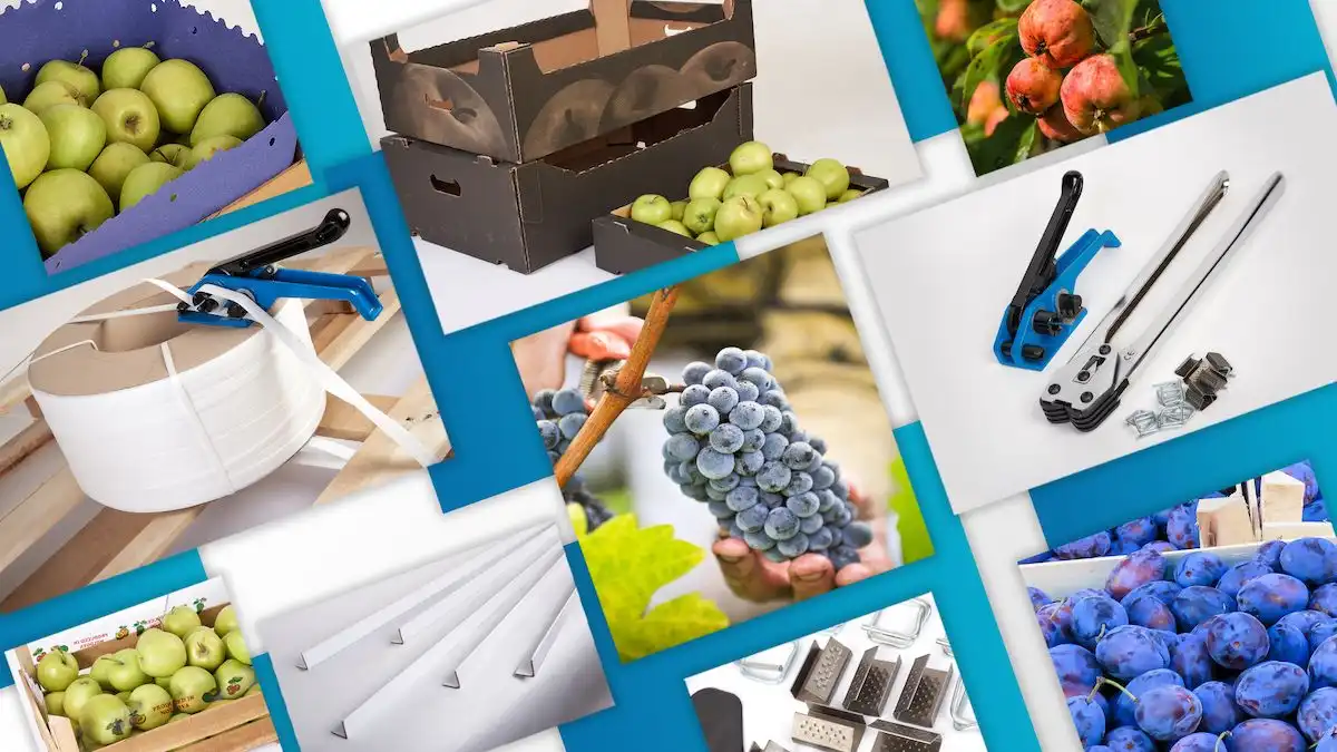 Как радикально сократить потери плодово-ягодной продукции при транспортировке?