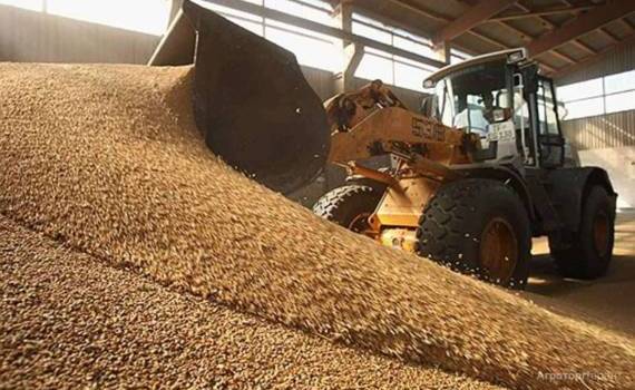 Экспортные поставки российского зерна дорожают - agroexpert.md