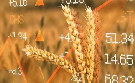 Динамика мировых цен пшеницы и их корреляция на украинский рынок - agroexpert.md