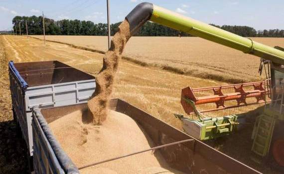 В текущем сезоне Евросоюз сократил импорт зерна на 20% - agroexpert.md