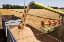 В текущем сезоне Евросоюз сократил импорт зерна на 20% - agroexpert.md