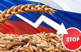 Всемирная продовольственная программа ООН отказалась от российского зерна - agroexpert.md