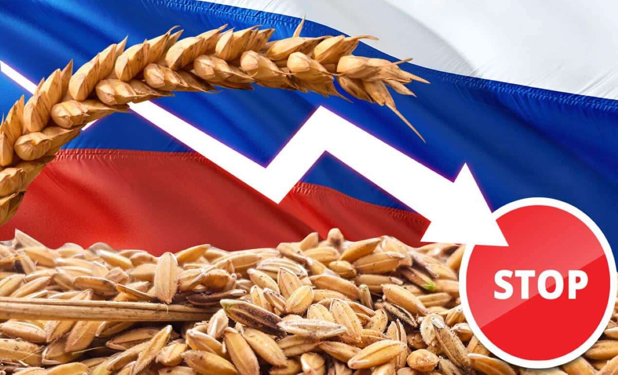 Всемирная продовольственная программа ООН отказалась от российского зерна - agroexpert.md