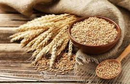 Турция ввела временный запрет на импорт пшеницы до середины октября - agroexpert.md
