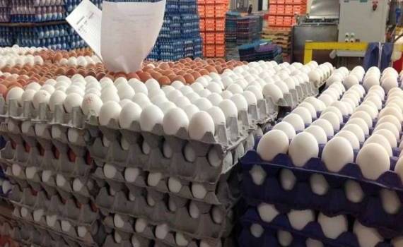 Россия отказалась от продления льгот на импорт яиц - agroexpert.md