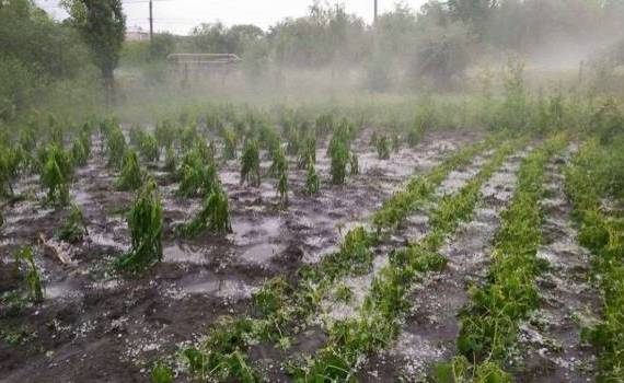 Terenuri agricole, distruse de ploaie - agroexpert.md