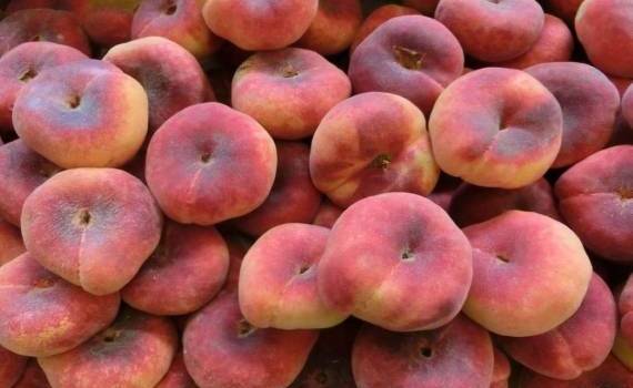 Популярность инжирного персика растет, он уже стал премиальным фруктом - agroexpert.md