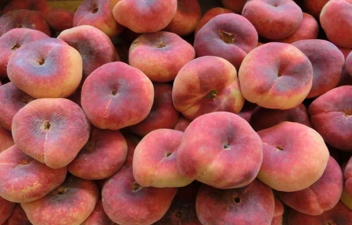 Популярность инжирного персика растет, он уже стал премиальным фруктом - agroexpert.md