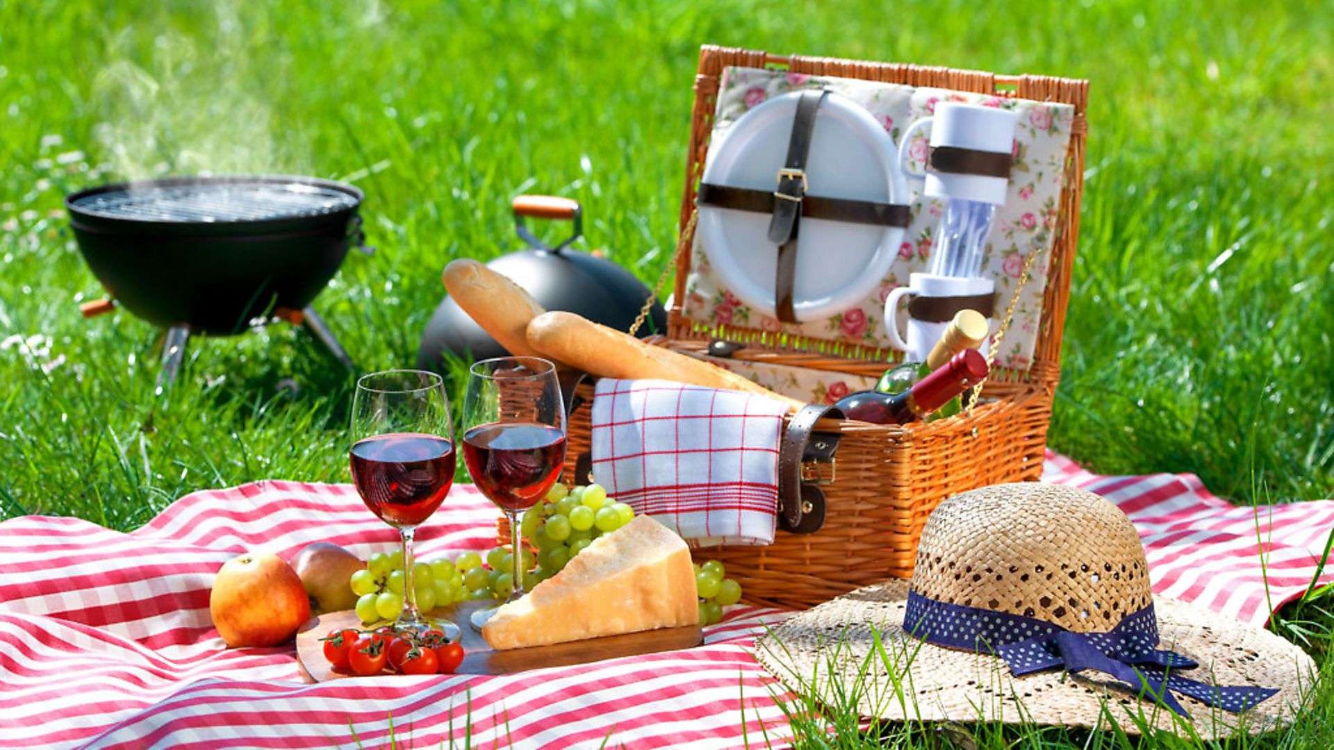 Picnic în siguranță: Cum să eviți toxiinfecțiile alimentare - agroexpetr.md