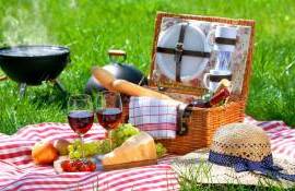 Picnic în siguranță: Cum să eviți toxiinfecțiile alimentare - agroexpetr.md